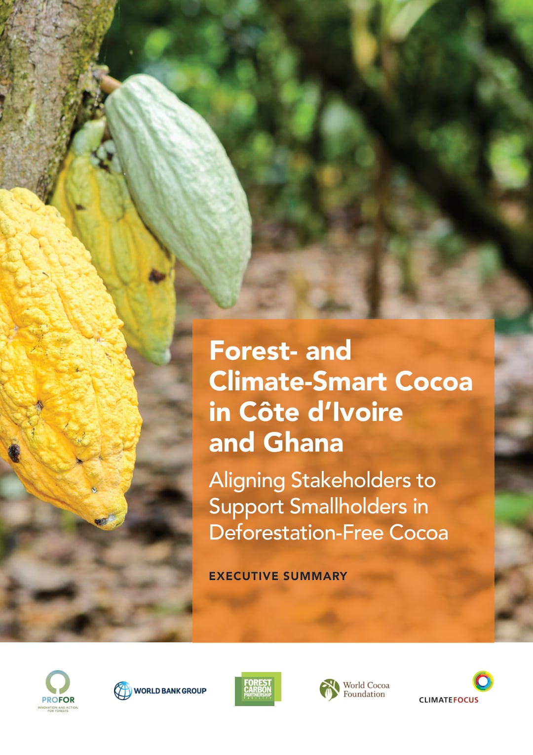 Forest- and Climate-Smart Cocoa in Côte d'Ivoire and Ghana · Banque mondiale, 2017, CC BY 3.0 IGO.