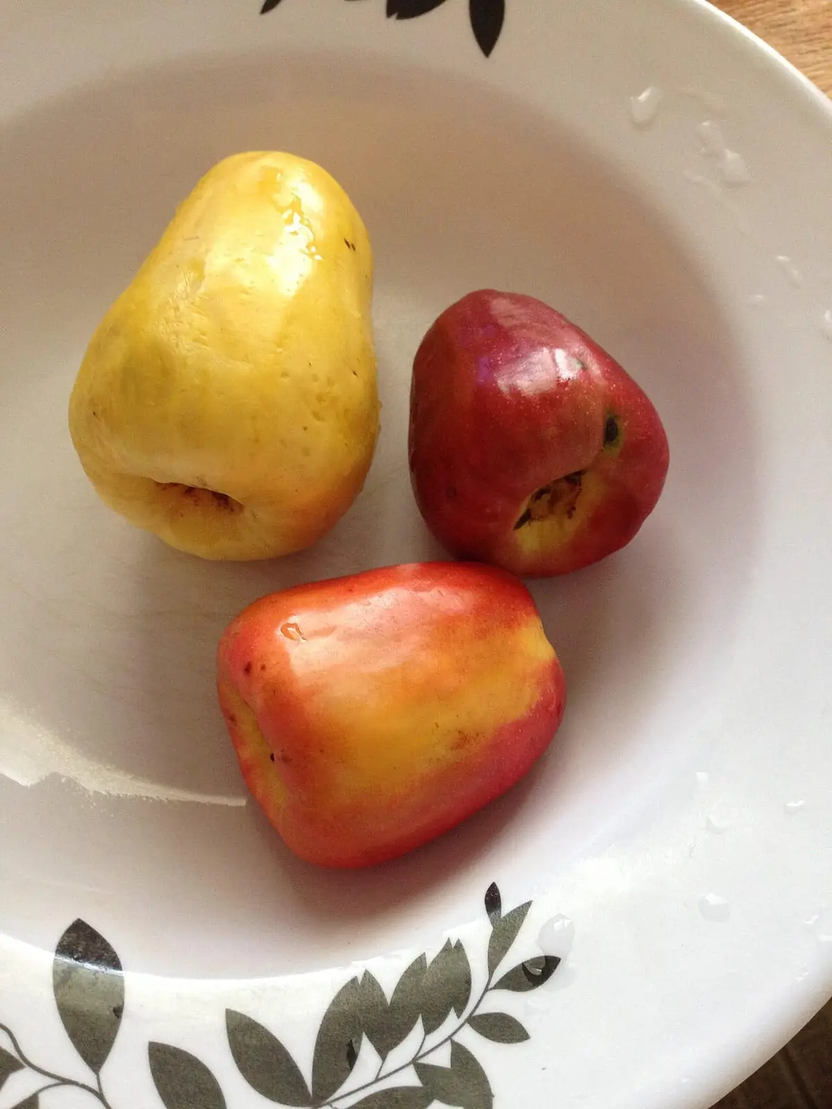 Illustration : des pommes de cajou, fruit de l'anacardier, Ariel Palmon, CC BY-SA 4.0, Wikimedia Commons.