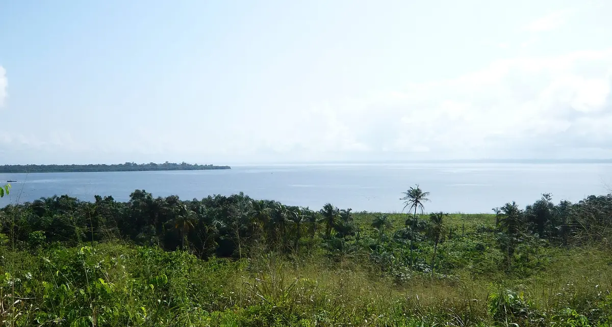 Illustration : la lagune Aby, dans le Sud-Comoé, Azigopriv, CC BY-SA 4.0, Wikimedia Commons.
