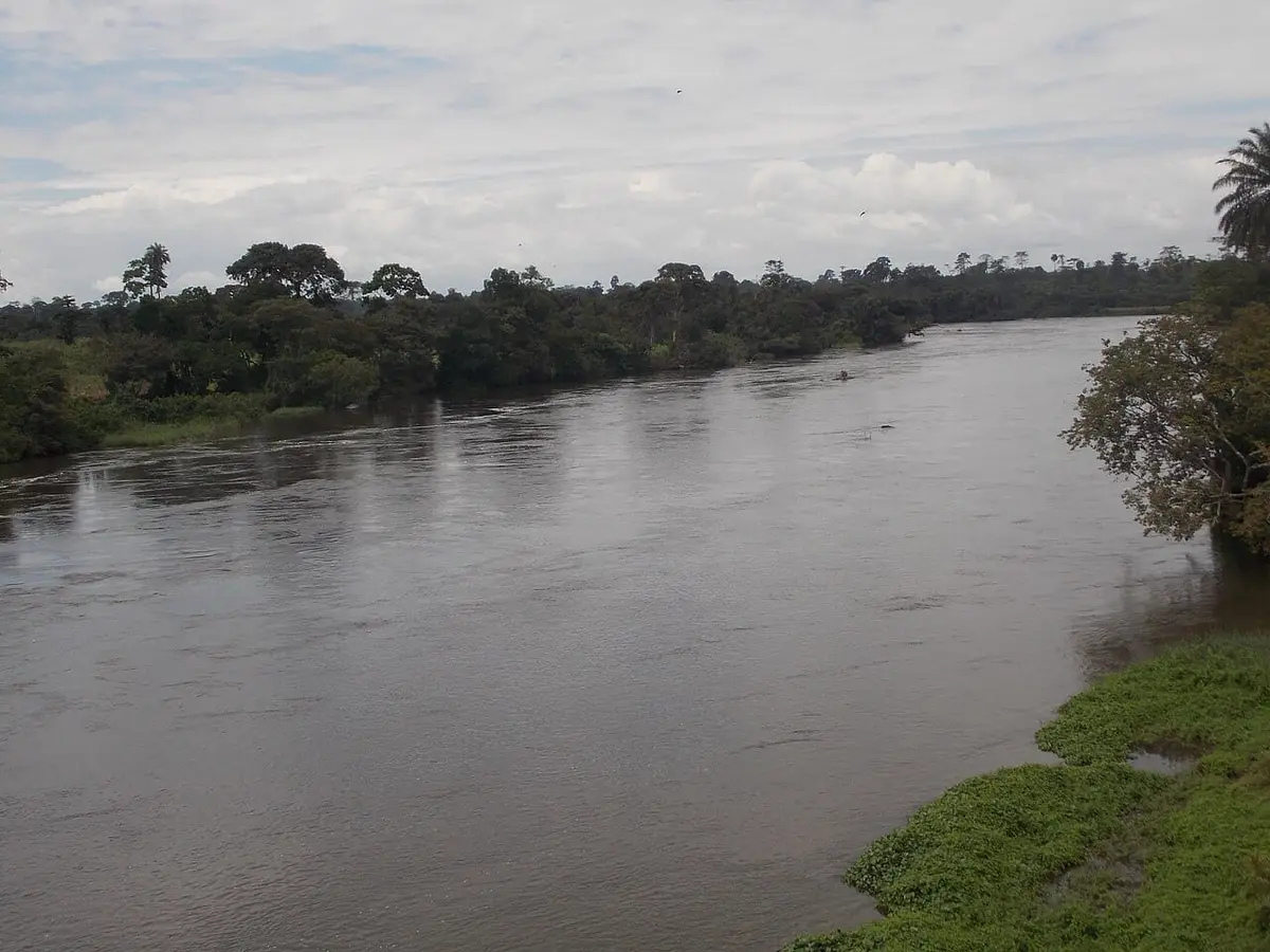 Illustration : les rives du Sassandra à Soubré, Cyriac Gbogou, CC BY-SA 4.0, Wikimedia Commons.